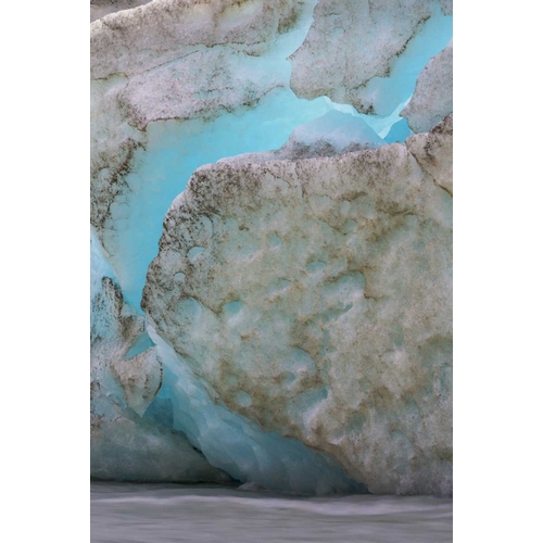 Alaska, Glacier Bay NP Scenic of Reid Glacier
